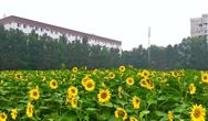 網(wǎng)站新版升級(jí)完成啦！?。?></div>
                      <div   id=